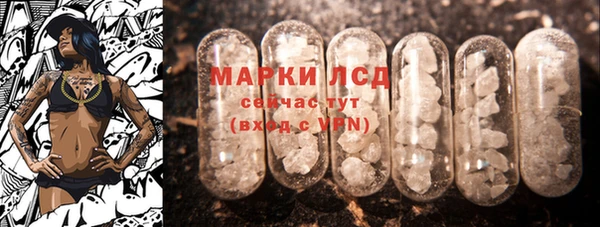 стаф Сосновоборск