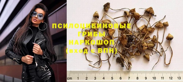 spice Бугульма